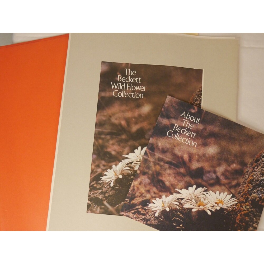 Vintage Colorado Wildflower Prints Cottagecore Floral Decor